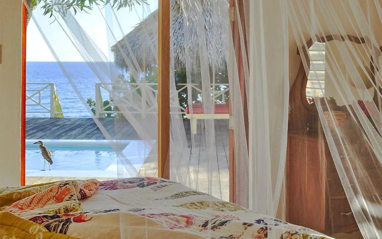 Pelican Three-Bedroom Villa トレジャー・ビーチ